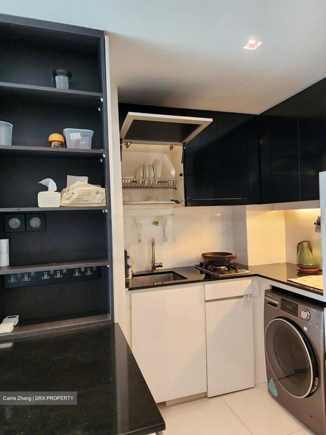 Loft @ Rangoon (D8), Apartment #457111861
